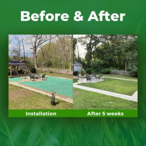 Growtrax Biodegradable Grass Seed Mat - 100 sqft Year Round Green - Grass Seed and for Lawns, Dog Patches & Shade - Just Roll, Water & Grow - No Fake or Artificial Grass