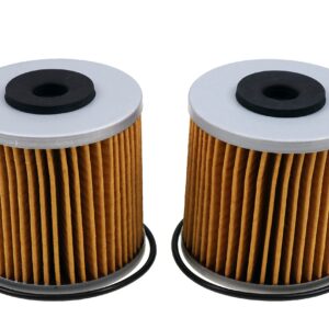 JEENDA X2 Transmission Filters Includes o-ring Compatible with Hydro Gear 71943 Ferris 5101987X2 5101987X2YP Scag HG71943 Bad Boy 063-1070-00 Gravely 21548300 ZT-5400 (2)