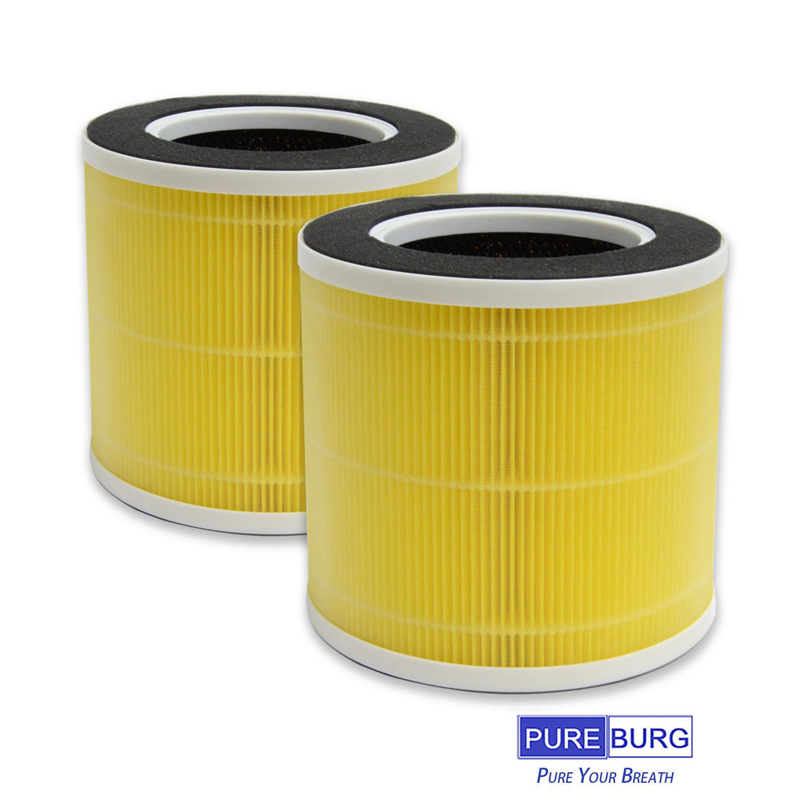 PUREBURG RP-AP089 Replacement Filter Compatible with RENPHO RP-AP089-F1 Fits RP-AP089W RP-AP089B Air Purifiers,2-Pack H13 HEPA Activated Carbon 2-IN-1