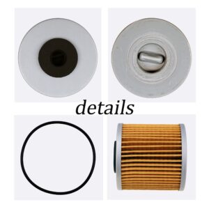 JEENDA X2 Transmission Filters Includes o-ring Compatible with Hydro Gear 71943 Ferris 5101987X2 5101987X2YP Scag HG71943 Bad Boy 063-1070-00 Gravely 21548300 ZT-5400 (2)