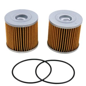 JEENDA X2 Transmission Filters Includes o-ring Compatible with Hydro Gear 71943 Ferris 5101987X2 5101987X2YP Scag HG71943 Bad Boy 063-1070-00 Gravely 21548300 ZT-5400 (2)