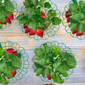 Iceyyyy 6Pack Strawberry Supports - Strawberry Plant Support Stand Strawberry Growing Racks Protector Strawberry Growing Frame Holder Cage (6, B)