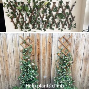 Wooden Lattice Wall 2Pack-Expandable Plant Garden Trellis for Climbing Plants Outdoor Air Plant Vertical Rack Wall Decor for Room Patio