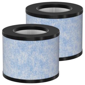 Allisfresh C102 MA-01CW True HEPA Replacement Filter Compatible with Miko Ibuki C102 Air Cleaner Purifier and Okaysou AirMic4S, True HEPA Filter Set, 2 Pack