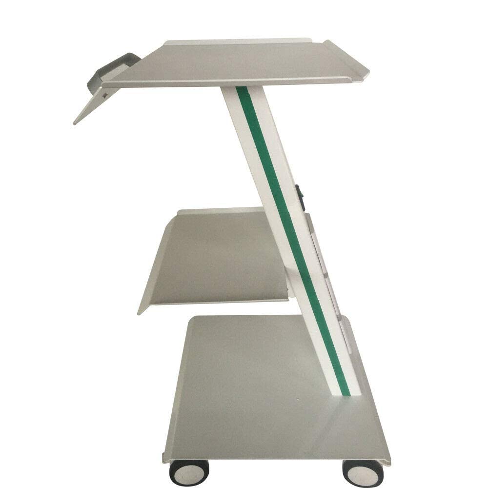 DNYSYSJ Lab Trolley,Multi-Function Metal Mobile Trolley w/Built-in Socket,3 Layers Tray Rolling Clinic Cart,360° Silent Rolling Wheels for Lab Clinic Salon