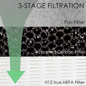 Allisfresh HE601 HEPA Filter Replacement compatible with Shark HE6FKPET HE601 HE602 6 Fan Air Cleaner Purifier, Models HE601 HE602 True Premium HEPA Filter 1 Pack