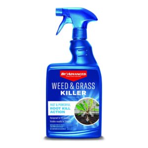 BioAdvanced Weed & Grass Killer, Ready-to-Use, 24 oz