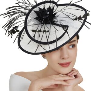 BABEYOND Fascinator Hat Feather Fascinators Hair Clip Kentucky Tea Party Derby Hat Fascinator for Bridal Wedding Party