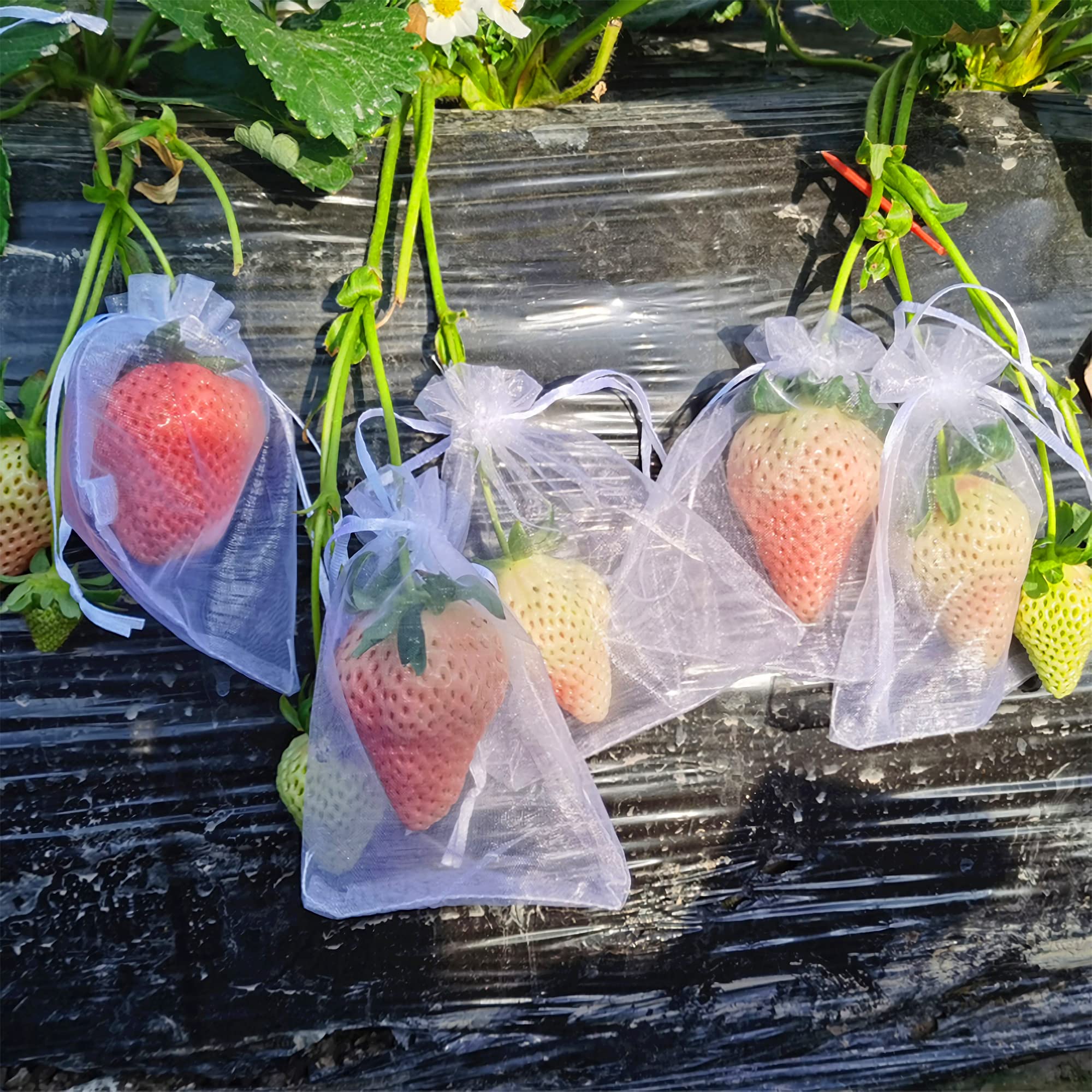 100 Pieces Organza Fruit Netting Bags - 6x8 Inch Fruit Protection Bags with Drawstring, Garden Plant Net Barrier Bag for Tomatoes, Grapes, Mangoes