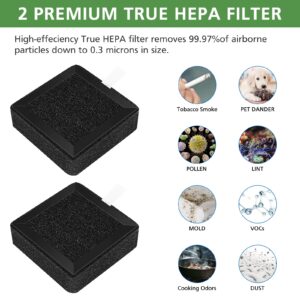 Ecleanfy A2 Replacement Filter Compatible with OSIMO A2, H13 True HEPA Filter, High-Efficiency Activated Carbon Filter, 2 Pack