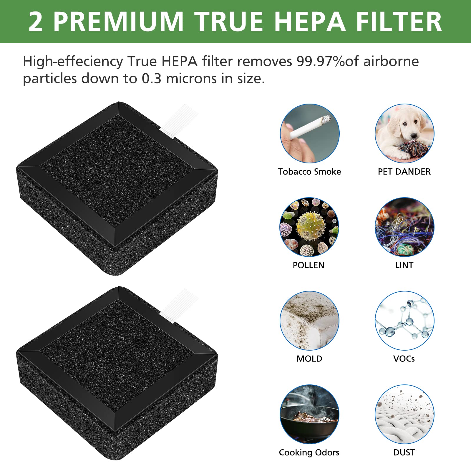 Ecleanfy A2 Replacement Filter Compatible with OSIMO A2, H13 True HEPA Filter, High-Efficiency Activated Carbon Filter, 2 Pack