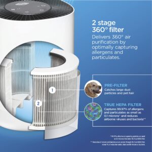 Clorox Tabletop Air Purifier True HEPA Replacement Filter, 200 Sq. Ft. Capacity, Removes 99.97% of Allergens up to 0.1 Micron, Compatible with 11020 & 11021, 1 Count (12020)