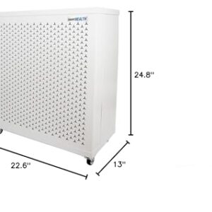 Smart Air Blast Mini MKII Air Purifier (Blast Mini with HEPA filter)