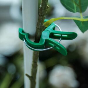 Plant Clips 80 Piece-Garden Clip Plant 2 Sizes Reusable Tomato Clip, Multipurpose Plant Vine Clips for Roses, Sturdy Cucumbers Orchid Clips Plant Support Adjustable Clips Green(30 Large + 50 Small)