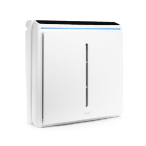 rabbit air a3 spa-1000n ultra quiet hepa air purifier, 6 stage filtration, wall mountable, for large rooms, removes airborne allergens, smoke, dust, mold, & vocs (white, germ defense filter)