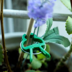 Plant Clips 80 Piece-Garden Clip Plant 2 Sizes Reusable Tomato Clip, Multipurpose Plant Vine Clips for Roses, Sturdy Cucumbers Orchid Clips Plant Support Adjustable Clips Green(30 Large + 50 Small)