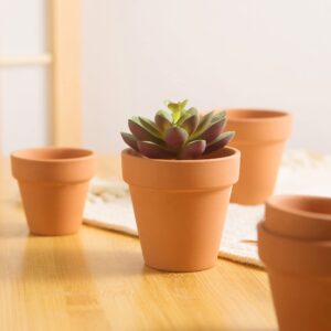 Fcacti 12 PCS Small Mini Clay Pots with Drainage Holes for Plants,2.5inch Terra Cotta Pot Clay Ceramic Pottery Planter,Succulent Nursery Pot/Cactus Plant Pot,for Indoor/Outdoor Plants,Crafts