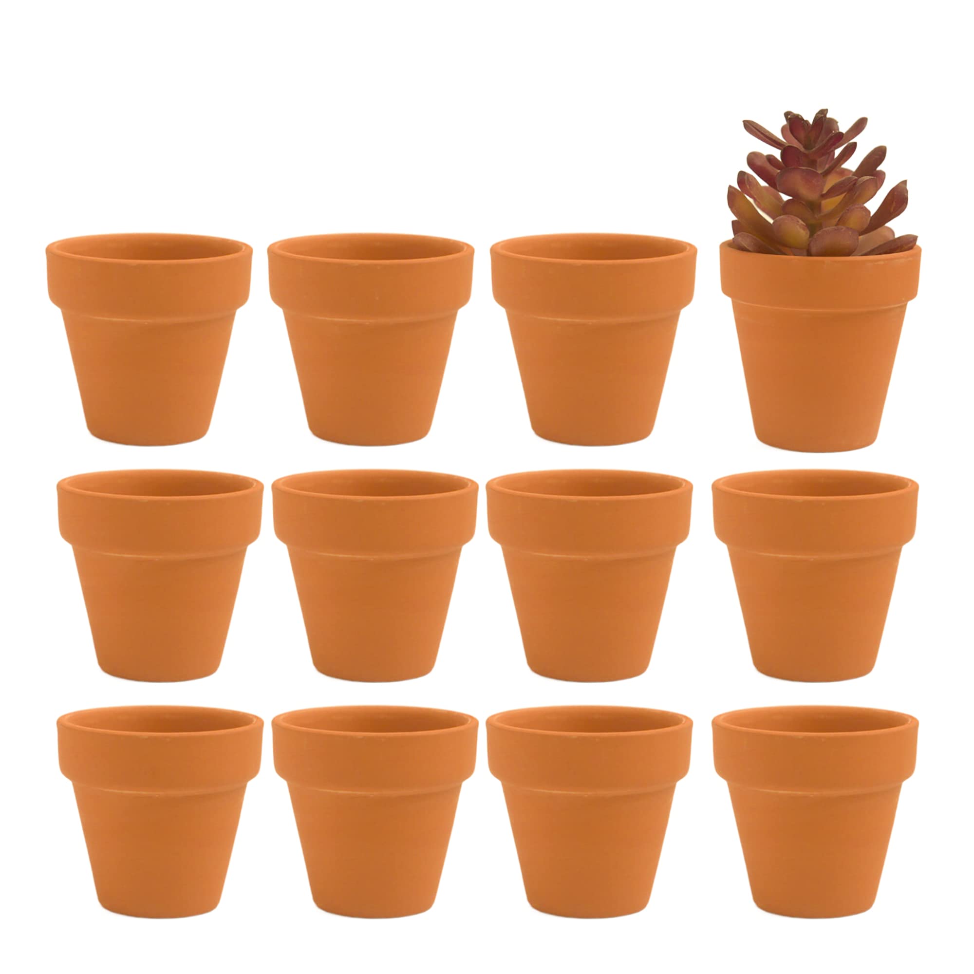 Fcacti 12 PCS Small Mini Clay Pots with Drainage Holes for Plants,2.5inch Terra Cotta Pot Clay Ceramic Pottery Planter,Succulent Nursery Pot/Cactus Plant Pot,for Indoor/Outdoor Plants,Crafts