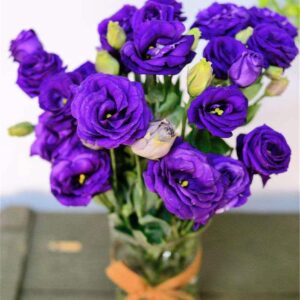 zellajake Rare Flower Seeds Purple Lisianthus Seeds 100Pcs Eustoma Fllower Seeds Plants Perennial Flowering Plants Balcony Potted Flowers Seeds