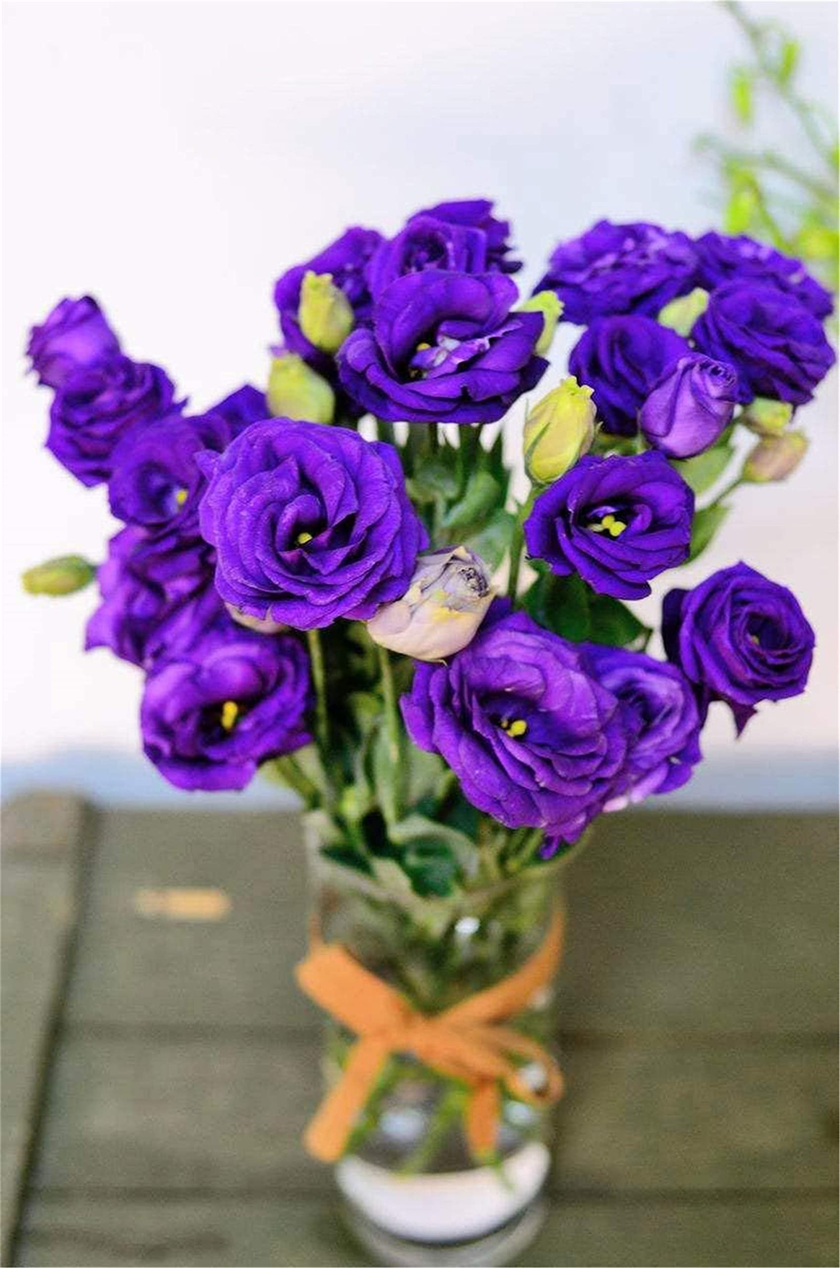 zellajake Rare Flower Seeds Purple Lisianthus Seeds 100Pcs Eustoma Fllower Seeds Plants Perennial Flowering Plants Balcony Potted Flowers Seeds