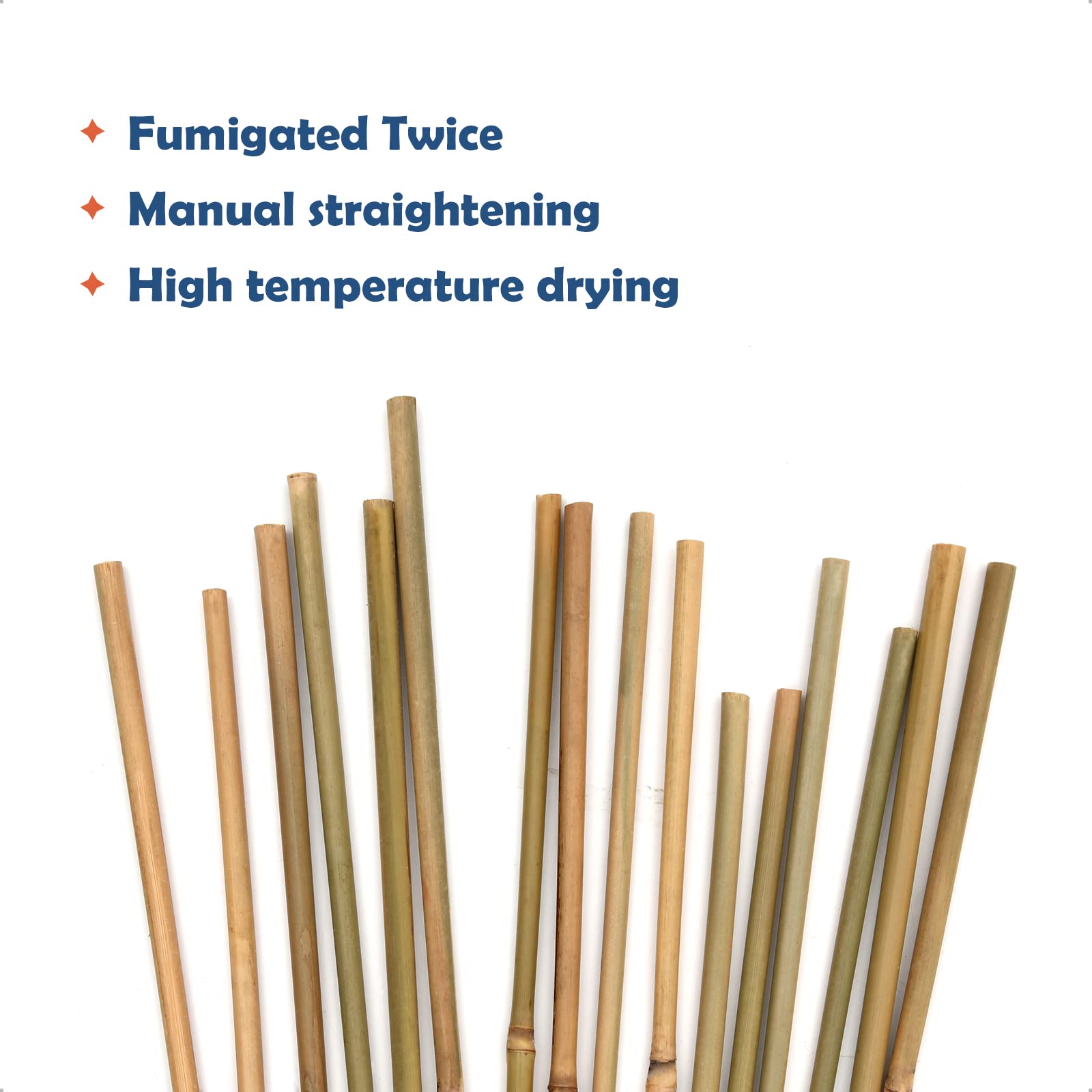 COLOtime Bamboo Stakes 4FT Garden Stakes Plant Stakes for Indoor and Outdoor Climbing Plants Poles Sticks Support Tomatoes Eggplants Beans 25 Pack