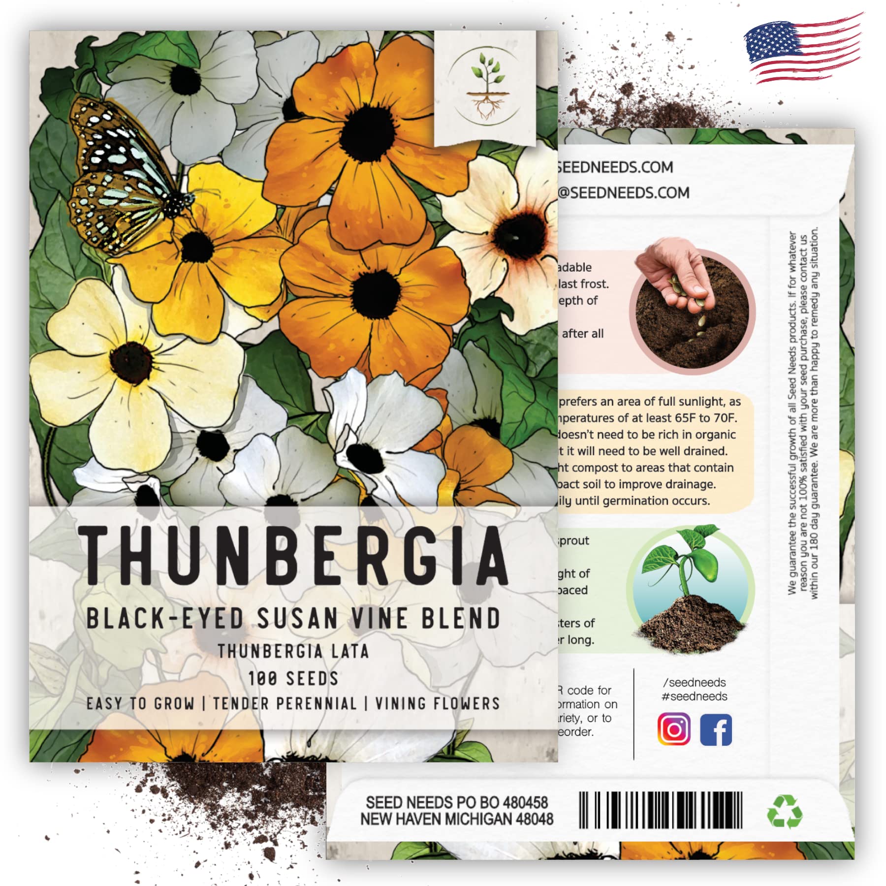 Seed Needs, Black-Eyed Susan Vine Seeds - 100 Heirloom Seeds for Planting Thunbergia alata - Annual Vining Flowers to Cover a Fence or Trellis (1 Pack)