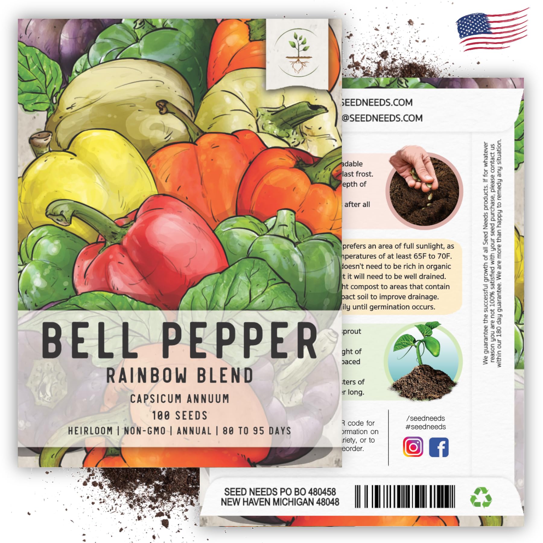 Seed Needs, Rainbow Bell Pepper Seeds - 100 Heirloom Seeds for Planting Capsicum annuum - Perfect for an Indoor or Outdoor Garden, Non-GMO & Untreated (1 Pack (100 Seeds))