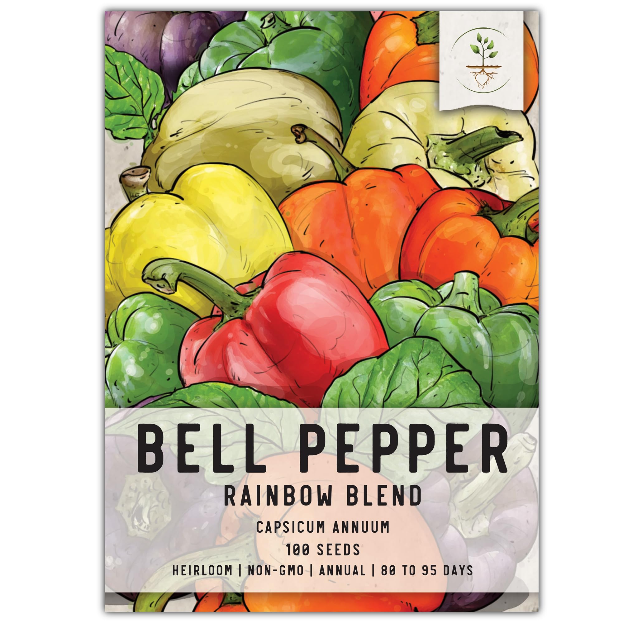 Seed Needs, Rainbow Bell Pepper Seeds - 100 Heirloom Seeds for Planting Capsicum annuum - Perfect for an Indoor or Outdoor Garden, Non-GMO & Untreated (1 Pack (100 Seeds))