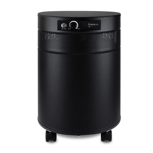 Airpura T700 Air Purifier for Tobacco Smoke - Black