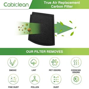 True Air Replacement Carbon Filters Compatible with Hamilton Beach Pet TrueAir Purifier Odor Eliminators Model 04384, 04386, 04532GM, 04530G, 04530GM & 04531GM,Compared to part #04234G (6-Pack)