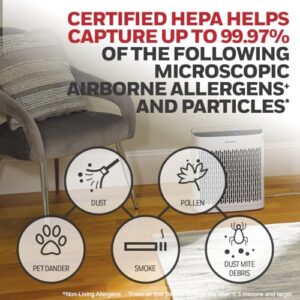 Honeywell InSight HEPA Air Purifier with Air Quality Indicator for Medium-Large Rooms (190 sq ft), White - Wildfire/Smoke, Pollen, Pet Dander, and Dust Air Purifier