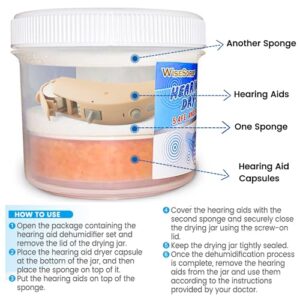 Wisesorb Hearing Aid Dryer, Hearing Aid Dehumidifier, Hearing Drying Jar and Dehumidifier Set (1 Container and 1pcs × 30g Capsules)