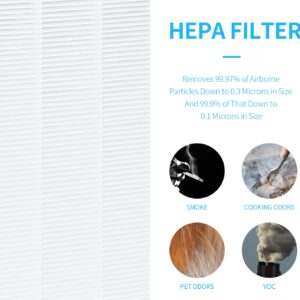 FCFMY Replacement Filter For HSP003 Dual Filtration HEPA Air Cleaner Purifier,2-in-1 Filter Includes H13 True HEPA & Activated Carbon Filter,Pack-of-2