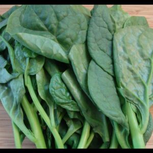 Gaea's Blessing Seeds - Malabar Spinach Seeds - Non-GMO Seeds with Easy to Follow Planting Instructions - Heirloom Big Round Leaf Malabar - 93% Germination Rate