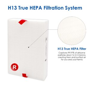 Flintar H13 True HEPA Replacement Filter R, Compatible with Honeywell Air Purifier HPA300, HPA200, HPA 100 and HPA 5000 Series, HRF-R2 (2 HEPA Filters)