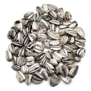 The Old Farmer's Almanac Sunflower Seeds (Mammoth Gray Stripe) - Approx 80 Flower Seeds - Premium Non-GMO, Open Pollinated, USA Origin