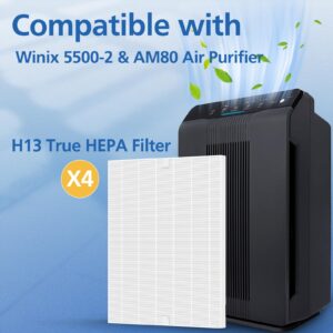 116130 Replacement Filter H Compatible with Winix 5500-2 Air Purifier and AM80 Air Purifier, H13 True HEPA Filter, 3 Pack