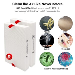 Flintar H13 True HEPA Replacement Filter R, Compatible with Honeywell Air Purifier HPA300, HPA200, HPA 100 and HPA 5000 Series, HRF-R2 (2 HEPA Filters)