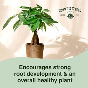 Farmer’s Secret Money Tree Liquid Plant Food Fertilizer (8oz) - Super Concentrated - Strengthen Roots and Encourage Growth in All Varieties of Money Trees