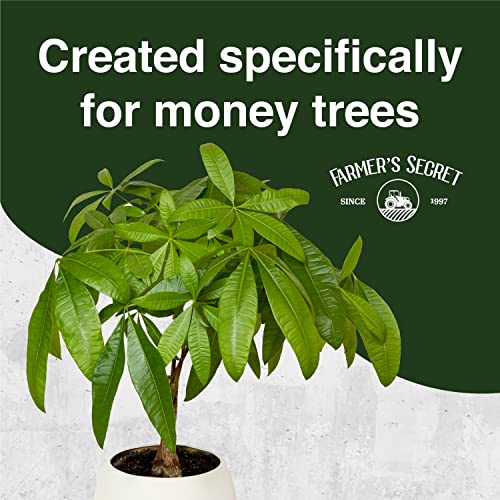 Farmer’s Secret Money Tree Liquid Plant Food Fertilizer (8oz) - Super Concentrated - Strengthen Roots and Encourage Growth in All Varieties of Money Trees