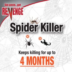 Bonide Revenge Spider Killer, 128 oz Ready-to-Use Spray, Long Lasting Odorless for Formula for Indoors and Outdoors