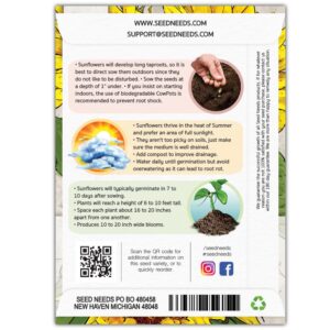 Seed Needs, Mammoth Grey Stripe Sunflower Seeds - 50 Heirloom Seeds for Planting Helianthus annuus - Non-GMO & Untreated - Attracts Pollinators (1 Small Pack)