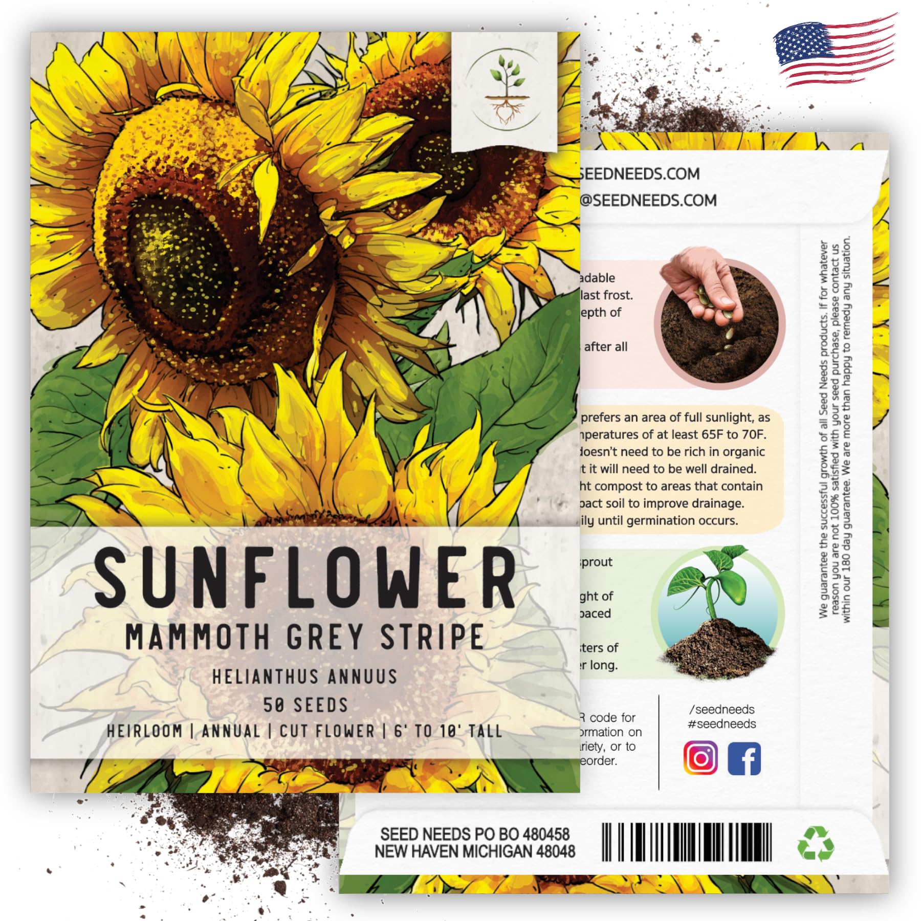 Seed Needs, Mammoth Grey Stripe Sunflower Seeds - 50 Heirloom Seeds for Planting Helianthus annuus - Non-GMO & Untreated - Attracts Pollinators (1 Small Pack)