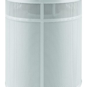 Airpura C700 DLX - Chemicals and Gas Abatement Plus Air Purifier (WHITE)