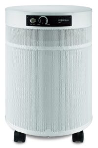 airpura c700 dlx - chemicals and gas abatement plus air purifier (white)