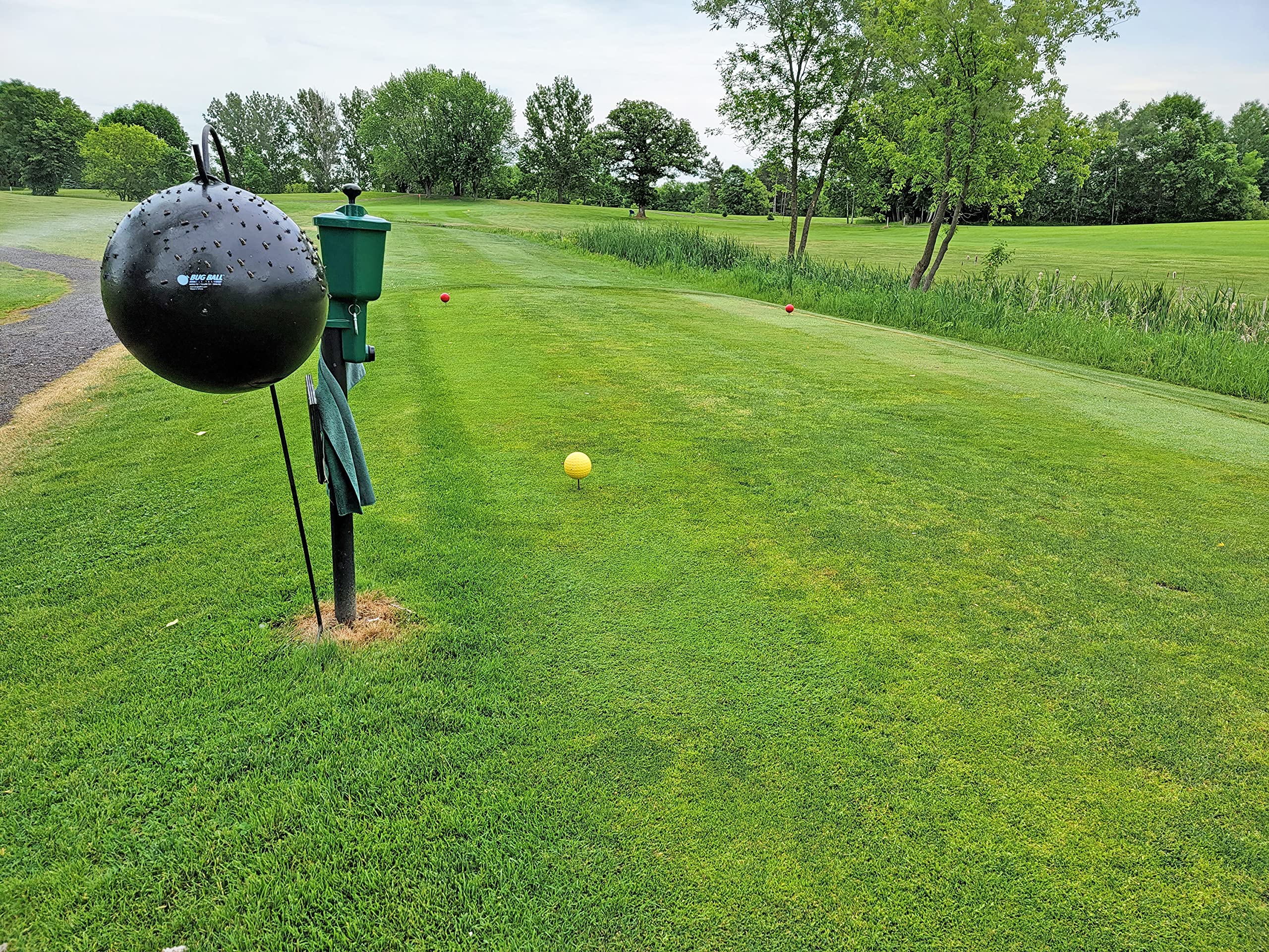 Bug Ball Starter Kit, 3 Pack - Yellow Fly, Horse Fly, Deer Fly, and Greenhead Fly Trap