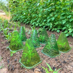 Fshow Garden Cloches,20 Pack Reusable Plant Bell Cover,Bell Jar Cloches for Protection Against Sun, Frost, Snails Etc. (Dark Green)