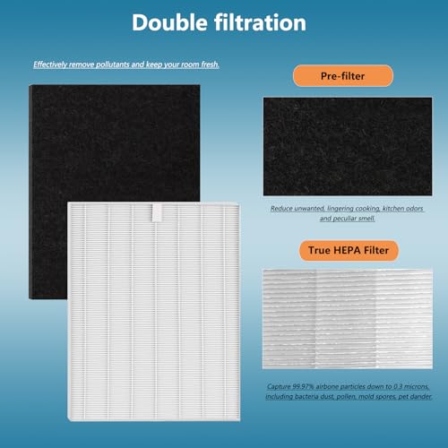 2 Sets D480 Replacement Filter D4 Compatible with Winix D480 Air Purifier, 2 Hepa Filter and 8 Air Filters Felt, Replace Part Number 1712-0100-00, Filter D4