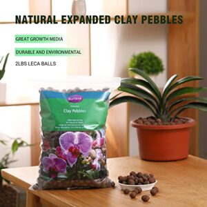 Natural Organic Clay Pebbles, 2LBS 8mm-18mm Expanded Leca Balls Plant Garden Soil, Grow Media for Hydroponics, Decoration, Aquaponics, Gardening Essentials