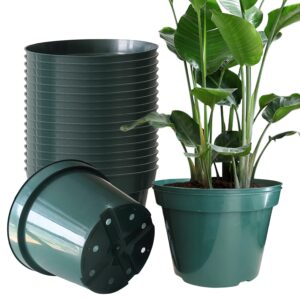 daperci rootrimmer 8 inches nursery pot plant grow sturdy flower pots in bulk price 20p